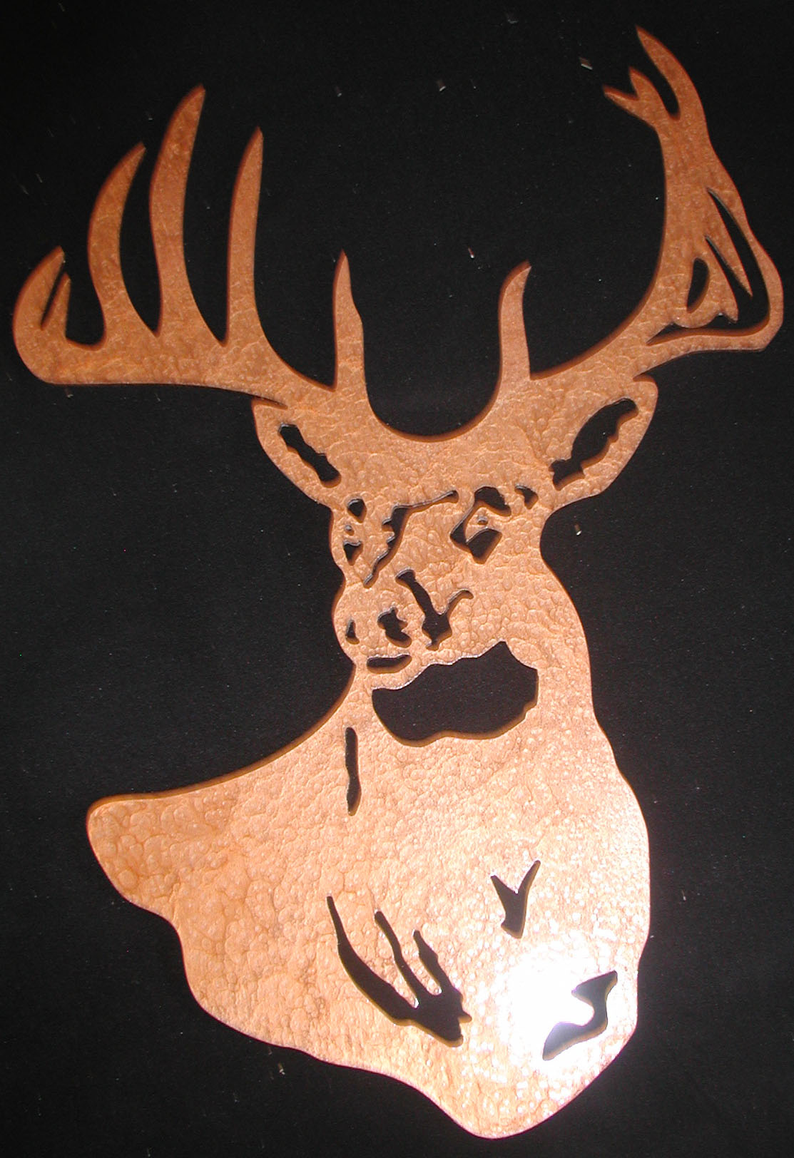 Deer